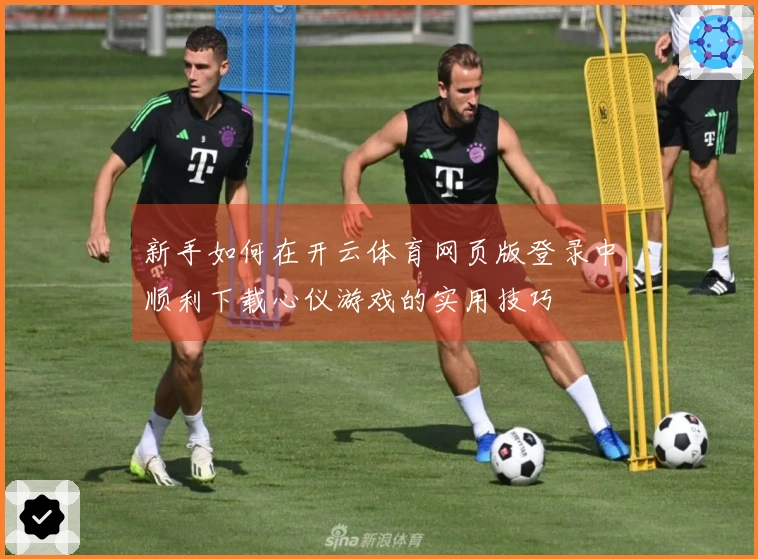 新手如何在开云体育网页版登录中顺利下载心仪游戏的实用技巧